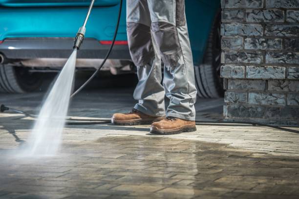 Best Graffiti Removal  in Pembroke Pines, FL