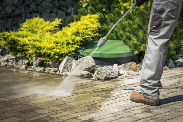 Best Pre-Holiday Cleaning  in Pembroke Pines, FL